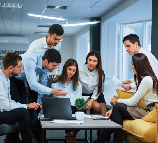 Mid-Market Companies